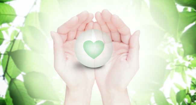 各種保険代理店業務